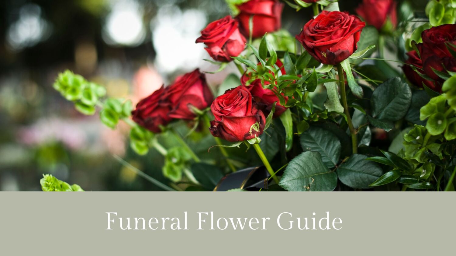 funeral flowers - red roses