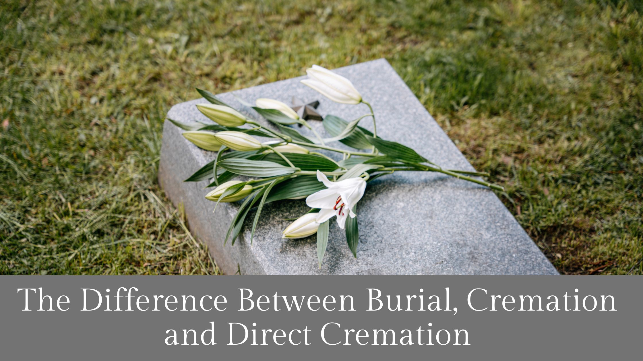 Funeral Directors Abergele - Burial, Cremation & Direct Cremation