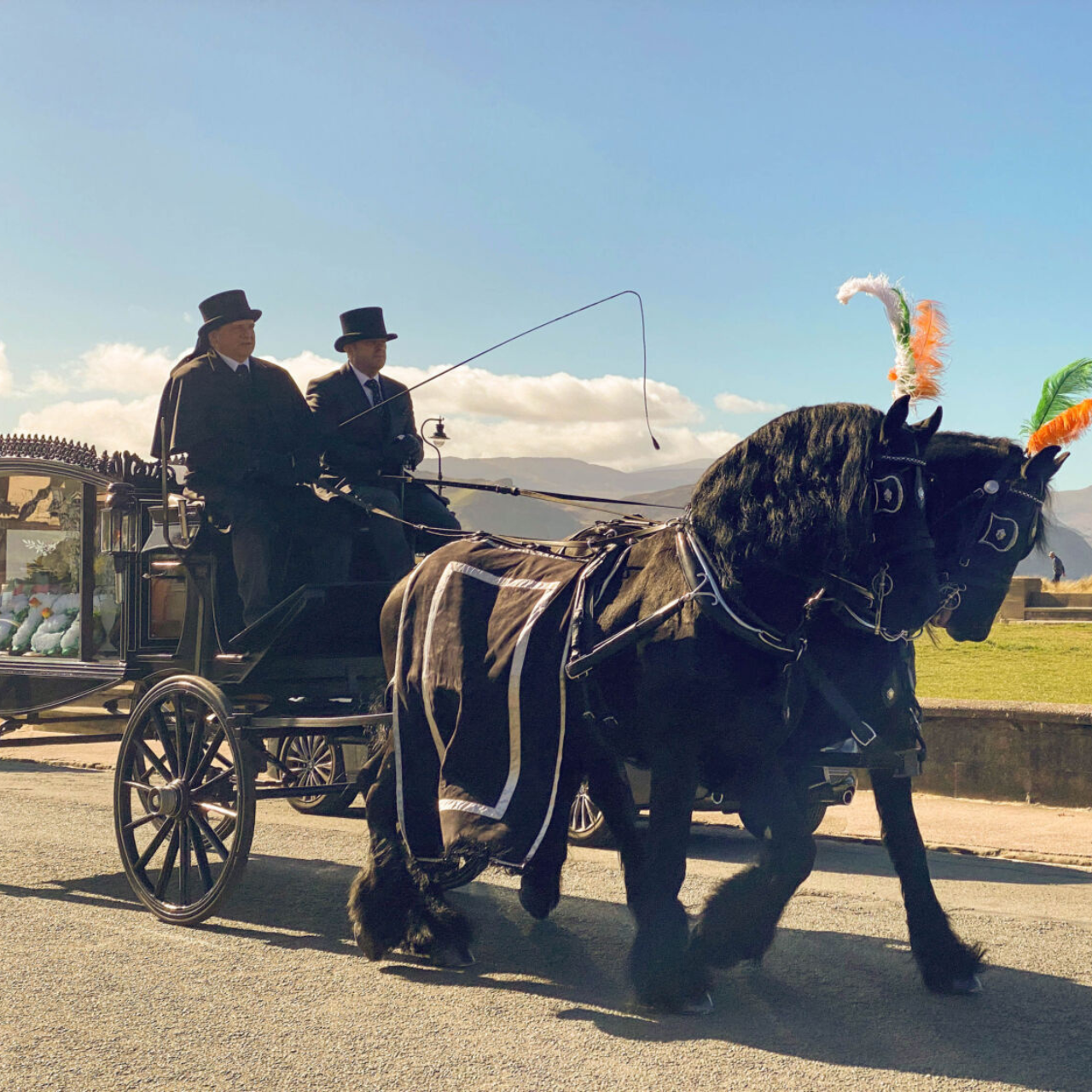 Horse Drawn Carriages
